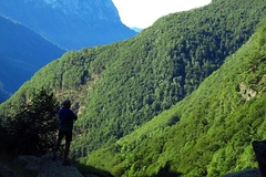 La montagna verdissima