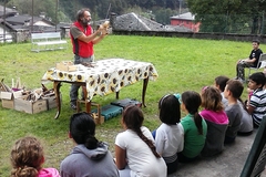Il laboratorio del legno