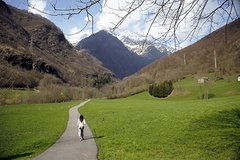 Passeggiate nel verde