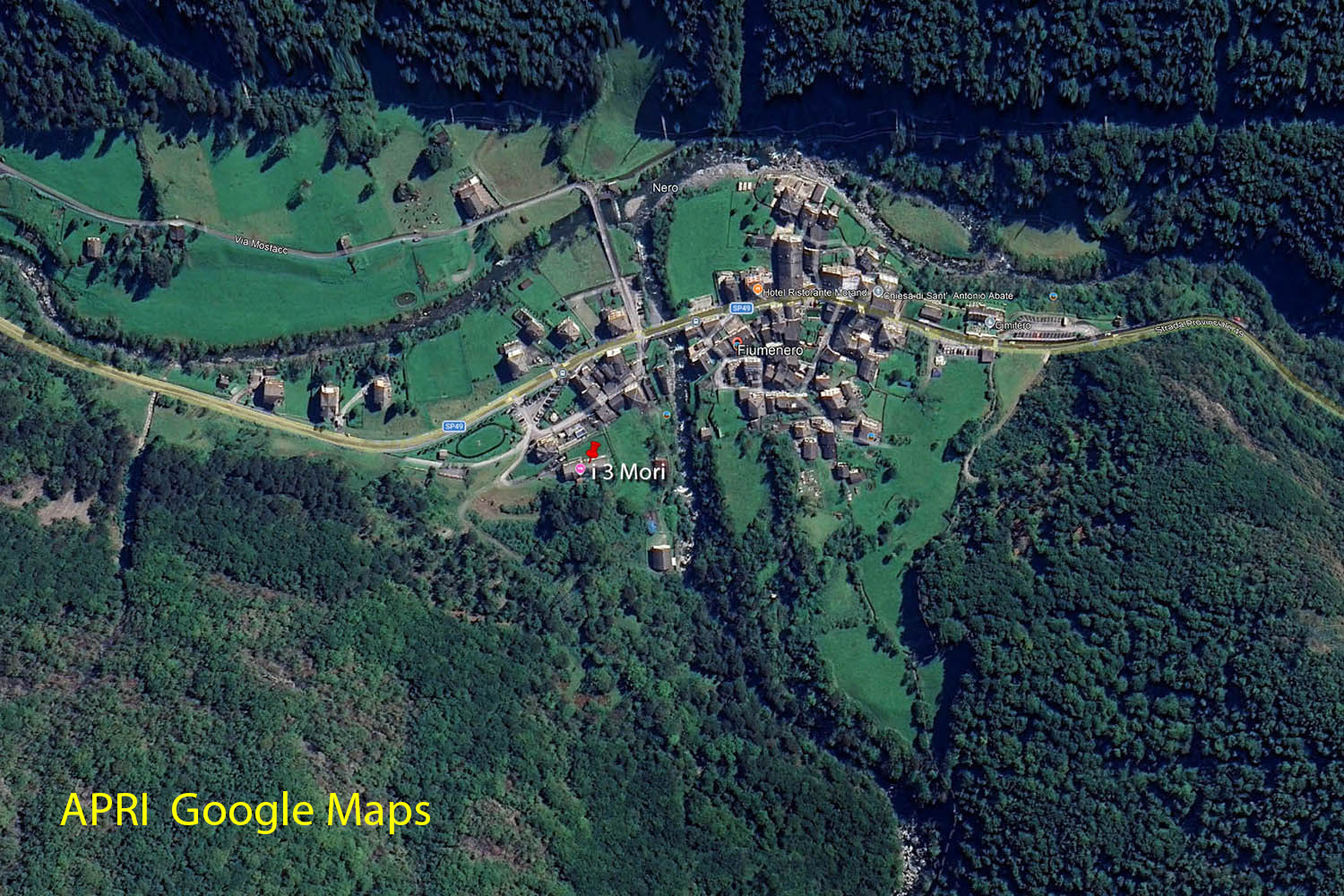 Slide Image